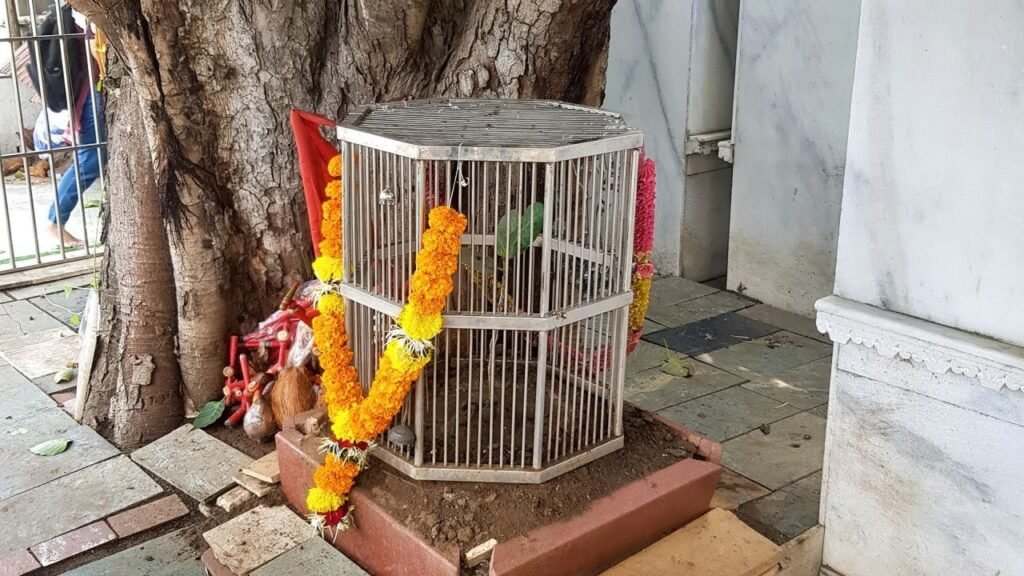 तीन पत्तों के वट वृक्ष! आइये जानें इस पौराणिक कहानी को जो जुड़ी है कर्ण के अंतिम समय से