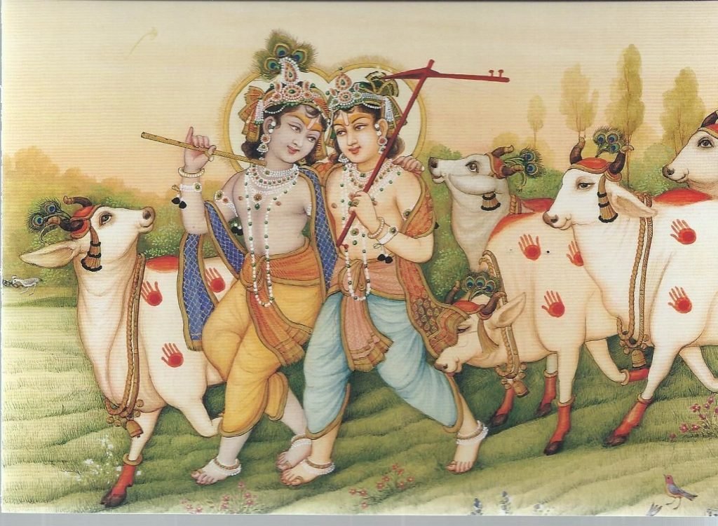 Balram Jayanti 2025: पन्ना- कृष्ण पर्व, हर्षोल्लास से मनाया गया भगवान बलदाऊ जन्मोत्सव